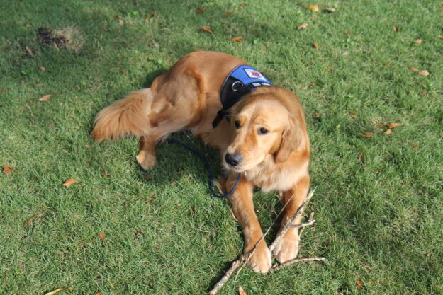 0794F3DB-046C-4CDC-9B6D-17134DAF2E64