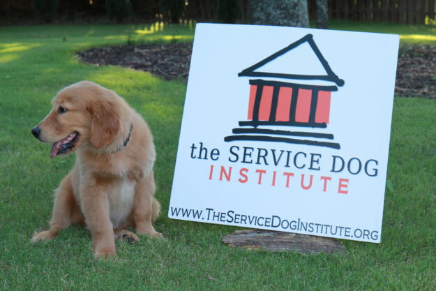 0FC159B8-EDCC-4DBB-B322-C8630A7B21C0