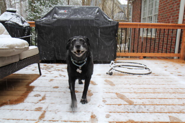 75807B70-E606-4955-A36E-E4A13BC751FC