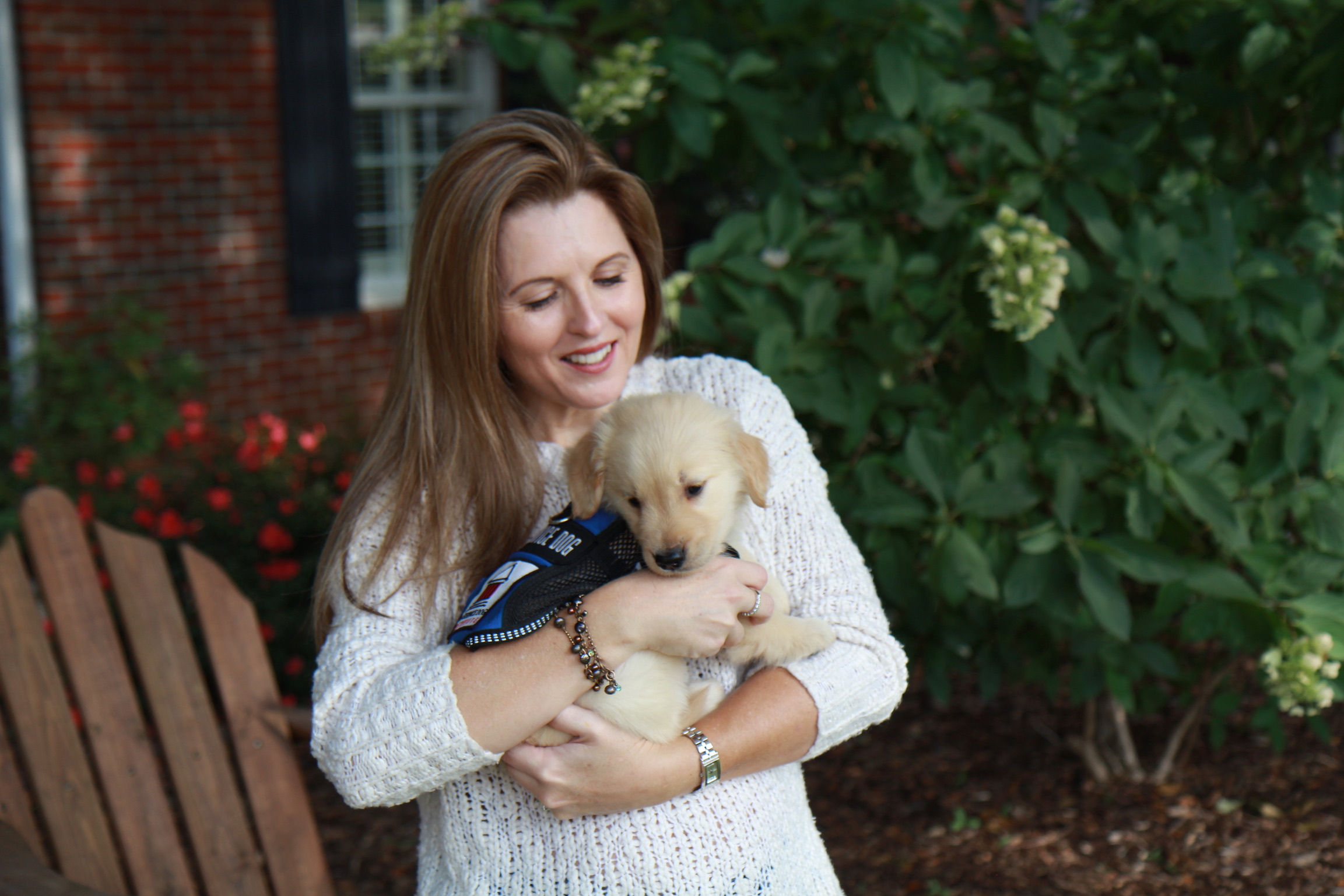 The Service Dog Institute – Raise and train service dogs for children